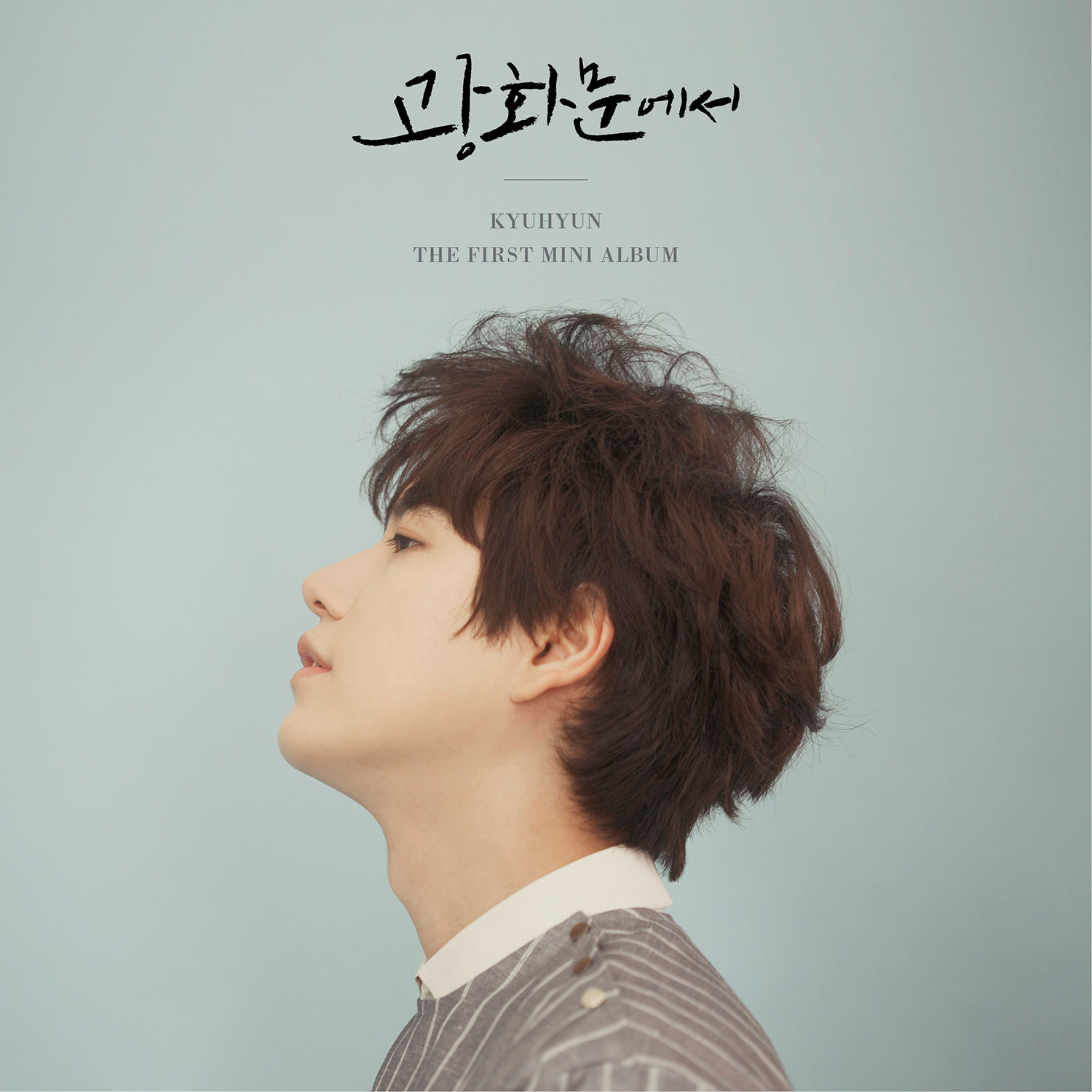 Image result for kyuhyun at gwanghwamun album cover